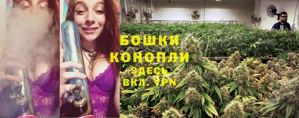 дурь Аркадак